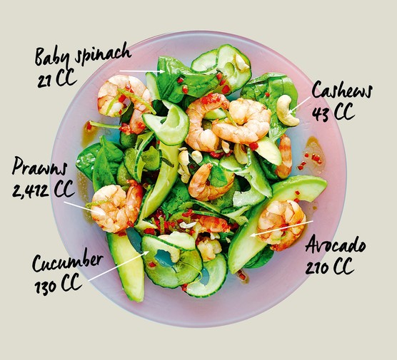 Carbon Calorie illustrated plate with a prawn salad