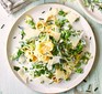 Pasta primavera on a plate