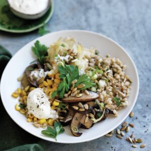 Warm fennel, mushroom and barley salad
